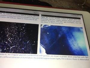 6BAC6900-DA14-41AC-89E1-E80E5C54BCB3.jpeg