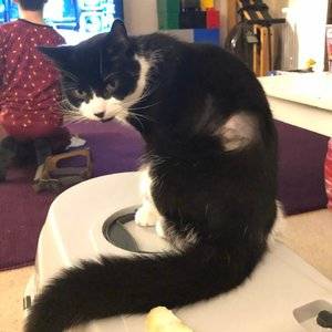 poorly smudge 2.jpg