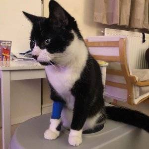 poorly smudge 3.jpg