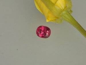 il_fullxfull.1647928126_p84t_1024x1024.jpg