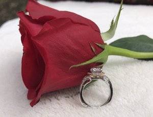 IMG_1122.jpg IMG_1122.jpg