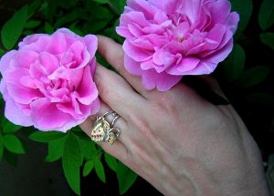 RosesButterfly.jpg