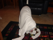 blanketgame.jpg