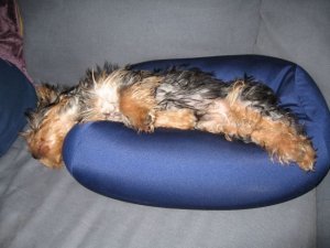 IMG_0704.sized.jpg