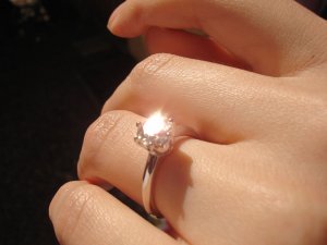 1236DSC00232.jpg