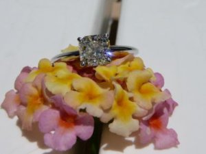 ambersring10.jpg ambersring10.jpg