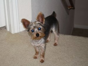 IMG_0708.sized.jpg