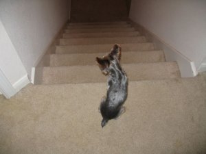 IMG_0707.sized.jpg