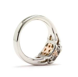 Princess Custom plat_18k red_013s.JPG