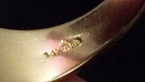 ring1.jpg
