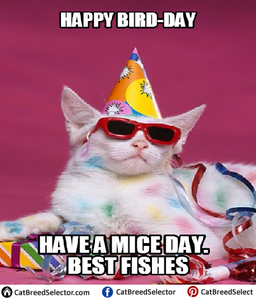 happybirday.png