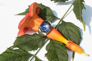Mens cab sapphire ring-7580.jpg