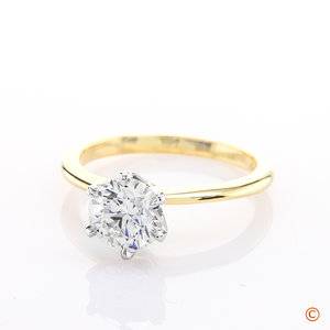 BrianGavin_classic_AdamG3b_022119.jpg