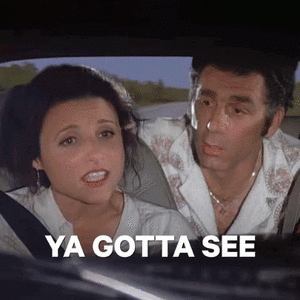 yougottaseeit.gif