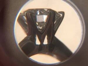 AAE89424-771E-4FA8-84F6-C35CDBF618B2.jpeg