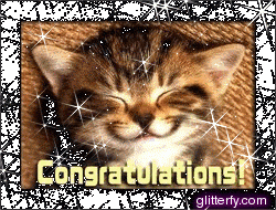 congrats_kitty.gif