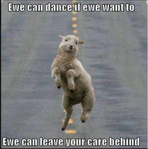 Ewe can dance_a.jpg