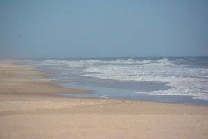 IMG_4211.jpg