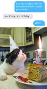 Meme Cat Birthday.png