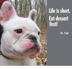 life-is-short-eat-dessert-first-mr-yoda-8198703.png
