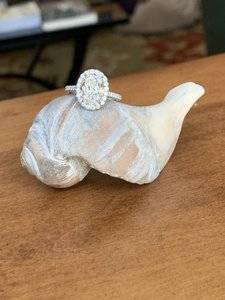 IMG_4094-1.jpeg