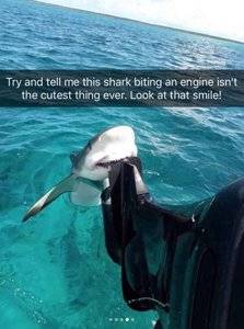 4E586080-3D17-420E-AE09-354F810D7772.jpeg