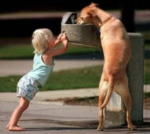 best-2017-inspirational-heartwarming-motivational24.jpg