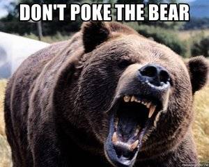 dont-poke-the-bear.jpg