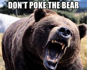 dont-poke-the-bear.jpg