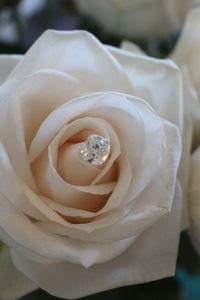 IMG_2363.jpg