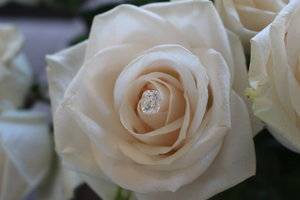 IMG_2373.jpg