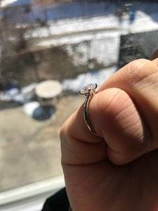 IMG_1986.jpg