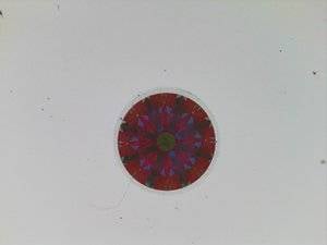 36A05F87-EBCA-4E1D-A0AA-A28AD2B3F121.jpeg
