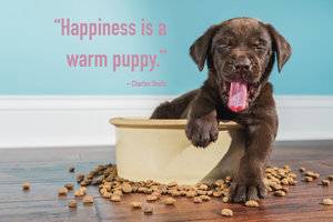 puppy-quotes.jpg