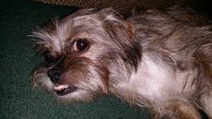 20170730_190226.jpg