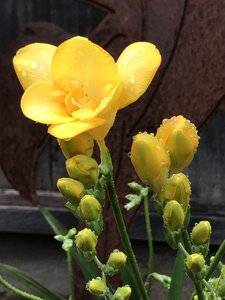 D3820C34-9B1C-4C68-A859-5501176EA568.jpeg