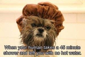 No_Hot_Water_Left.jpg