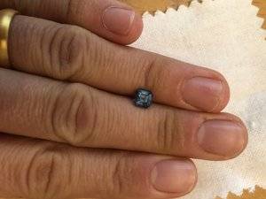 IMG_5446.jpeg IMG_5446.jpeg
