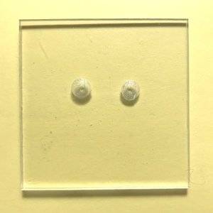 Examination-Comparison-plate.jpg