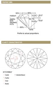 2195931077_pdf.png.png