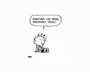 calvinandhobbestragic.jpg calvinandhobbestragic.jpg