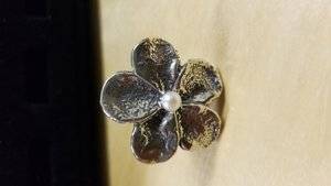 !Israel ring01.jpg