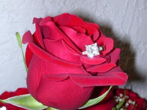 More than a rose.JPG