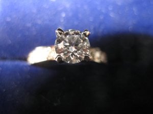 Picture 023new.JPG