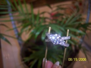 100_1036_1.jpg