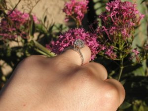 ring2_320x240.JPG