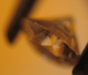 IMG_7214.jpg