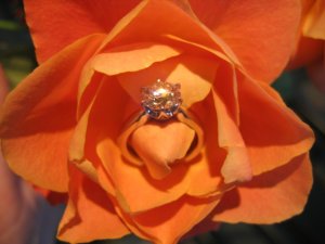 IMG_1717.JPG