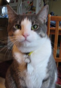 Hooper3 7-9-06.jpg