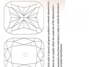 diagram cushion.JPG